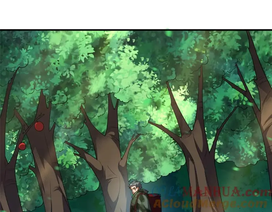 256 龙蚁88
