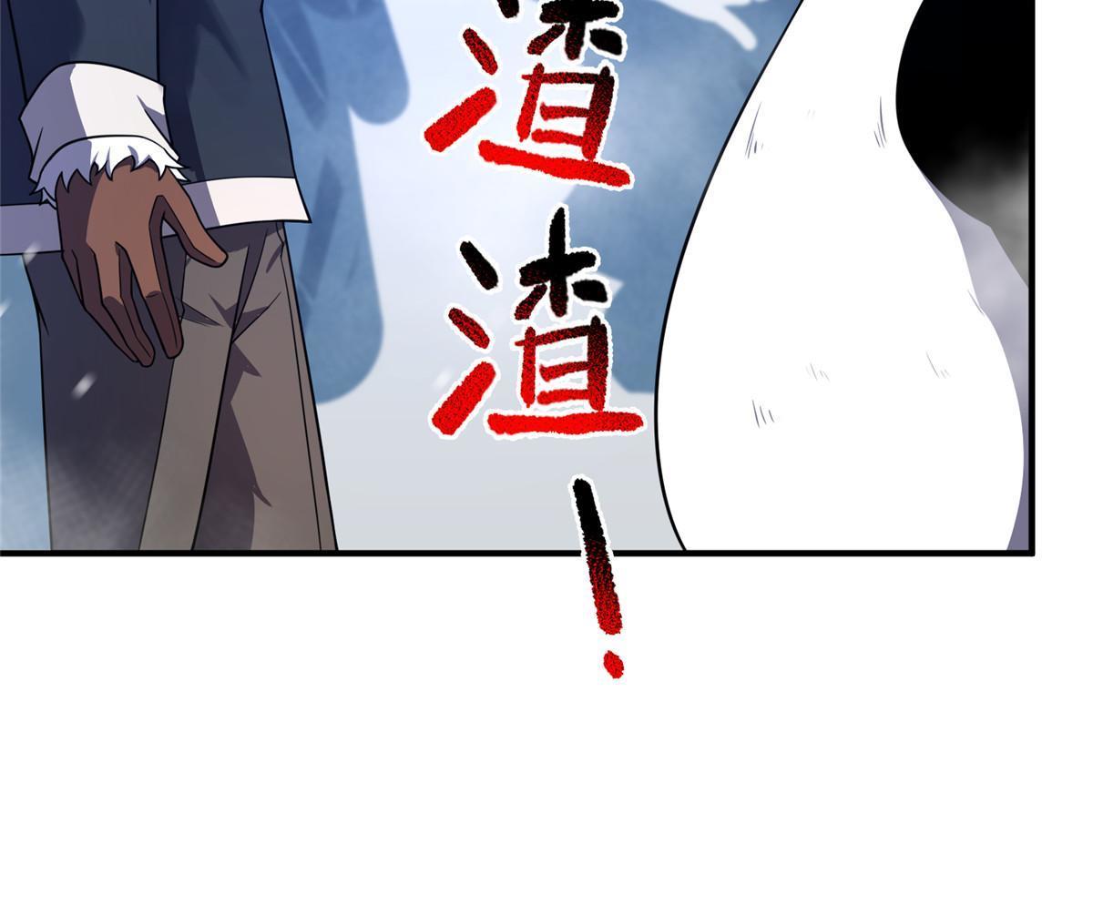 152 怪力黄眉企鹅7