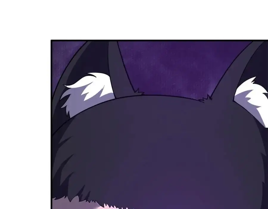 268 本元猪133