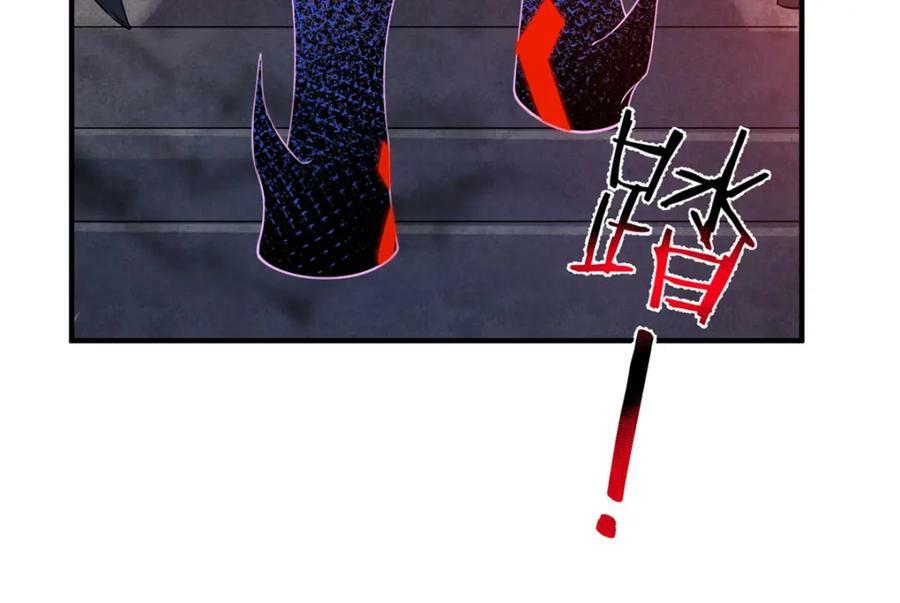 203 胖大海的宝贝66