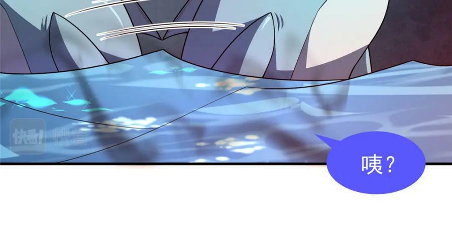 203 胖大海的宝贝78