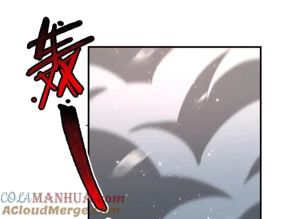 243 新的通道开启44