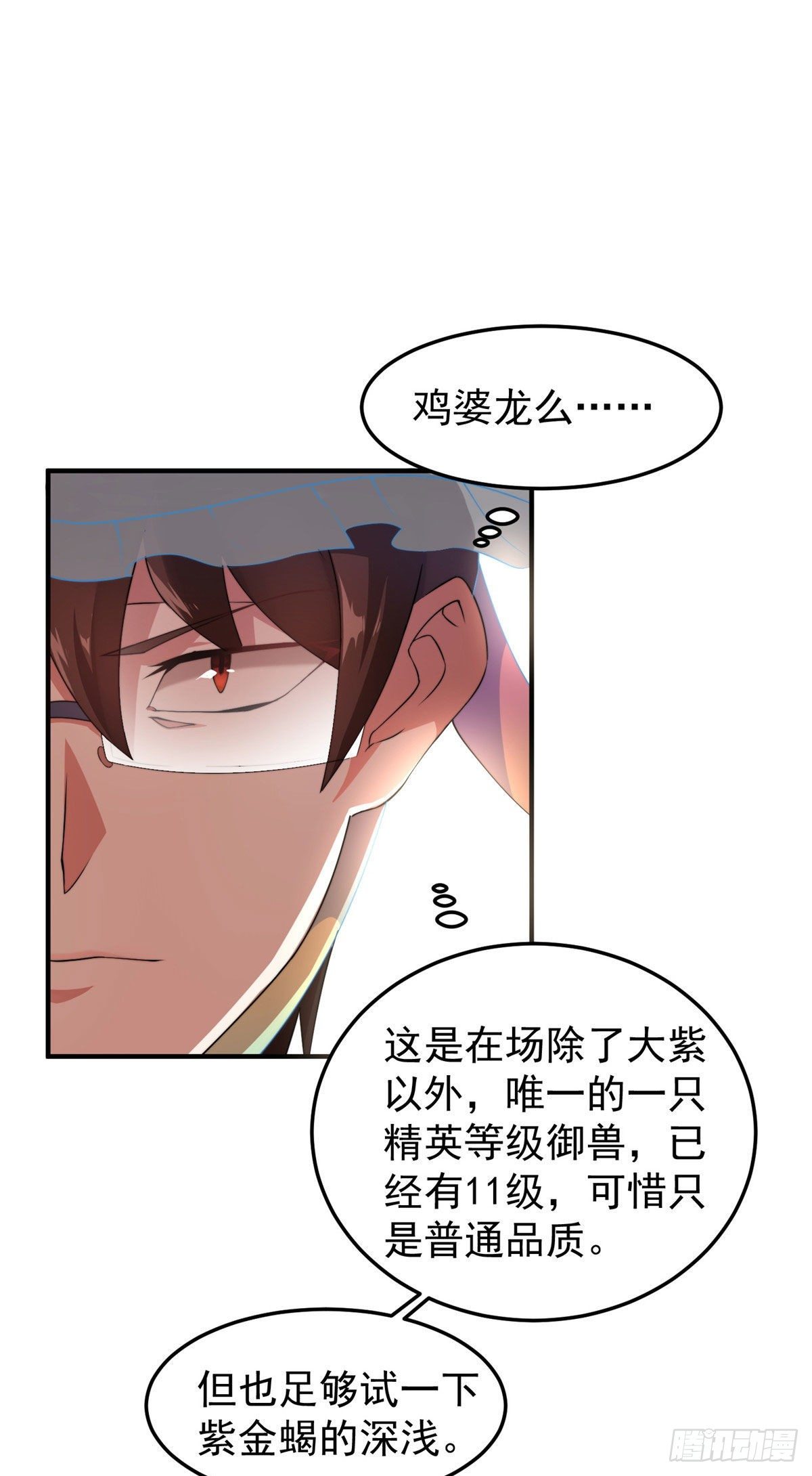 028 鸡婆龙19