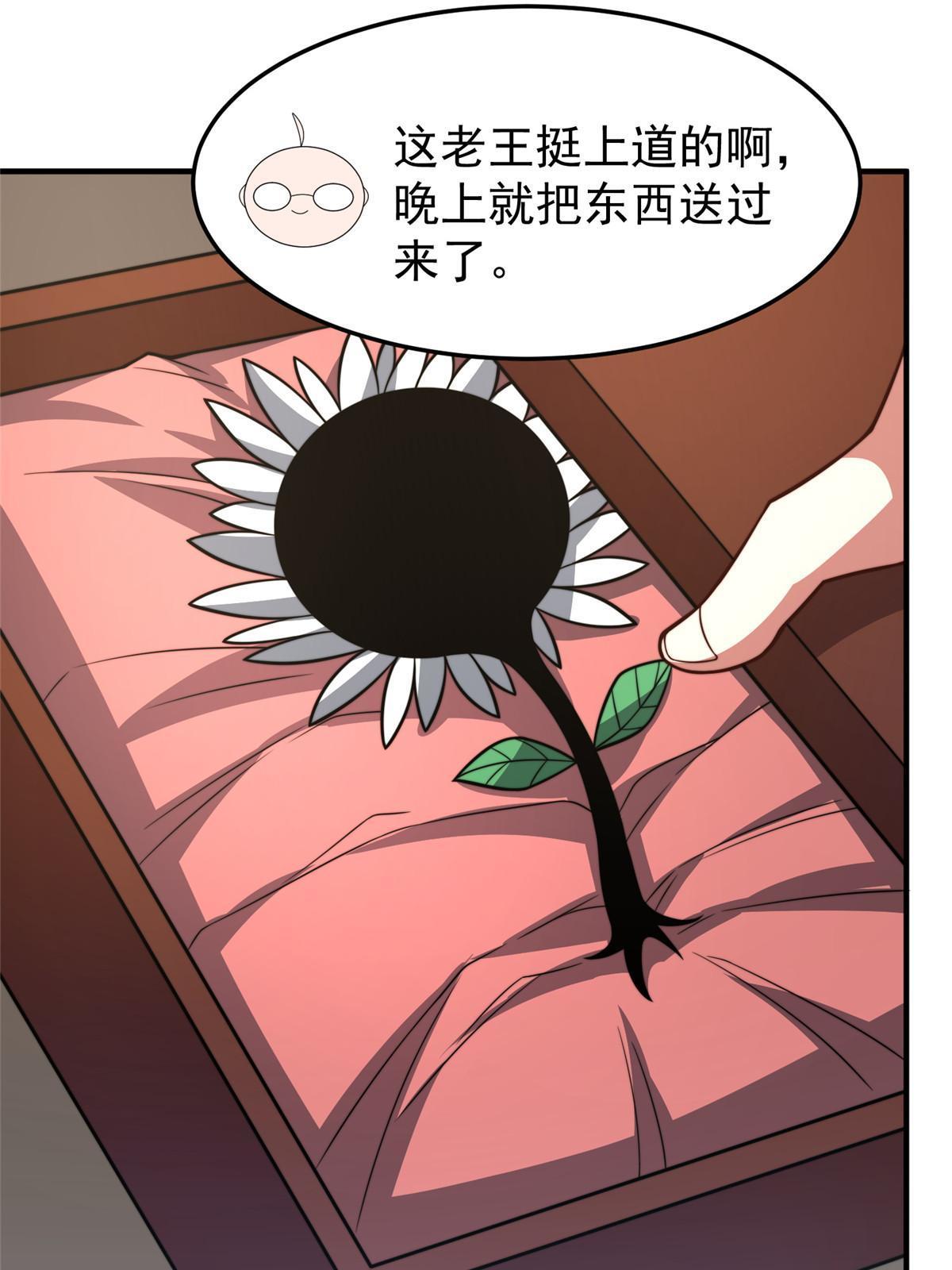 128 阴阳金簪草62
