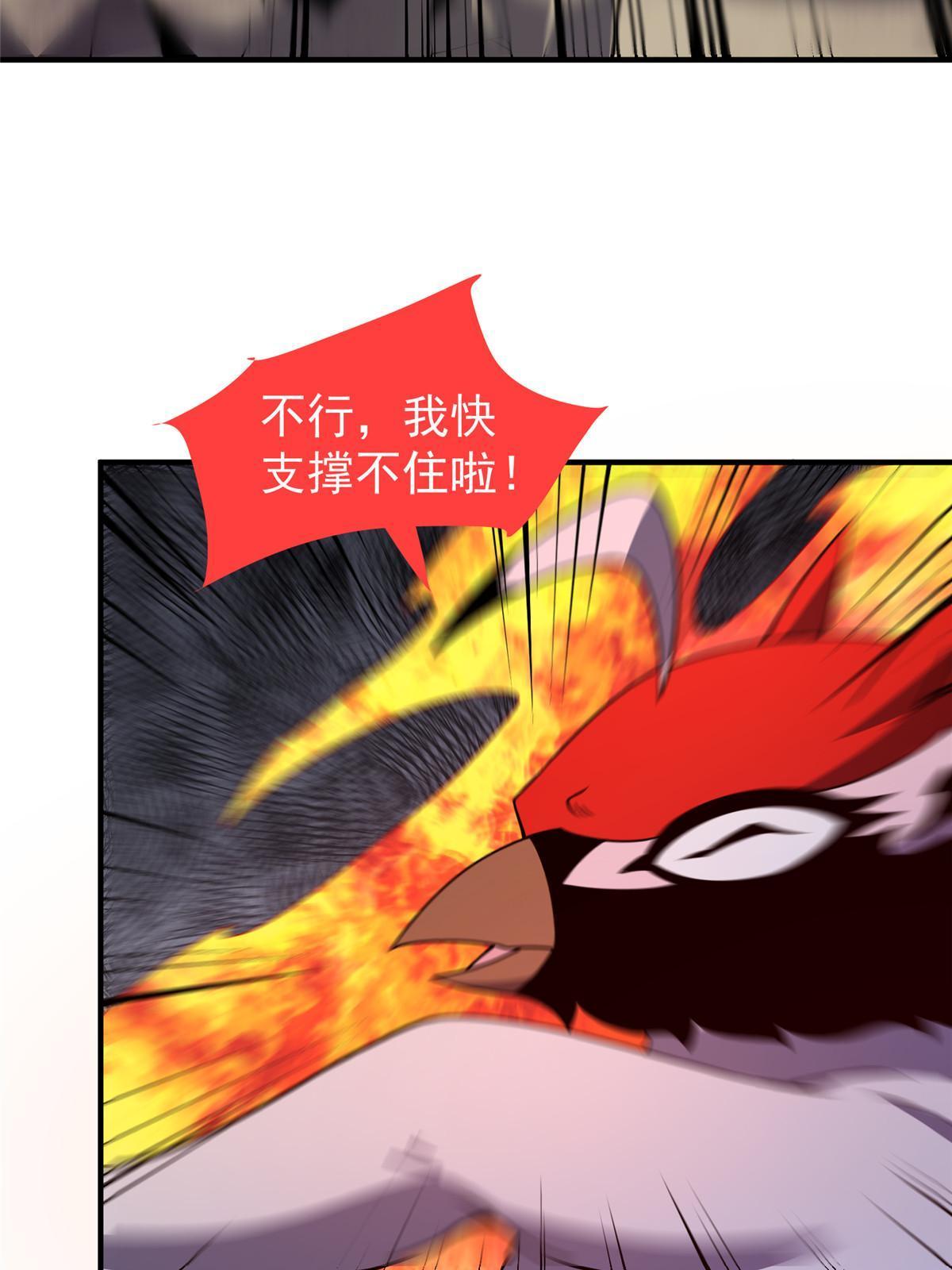 112 木孔雀34