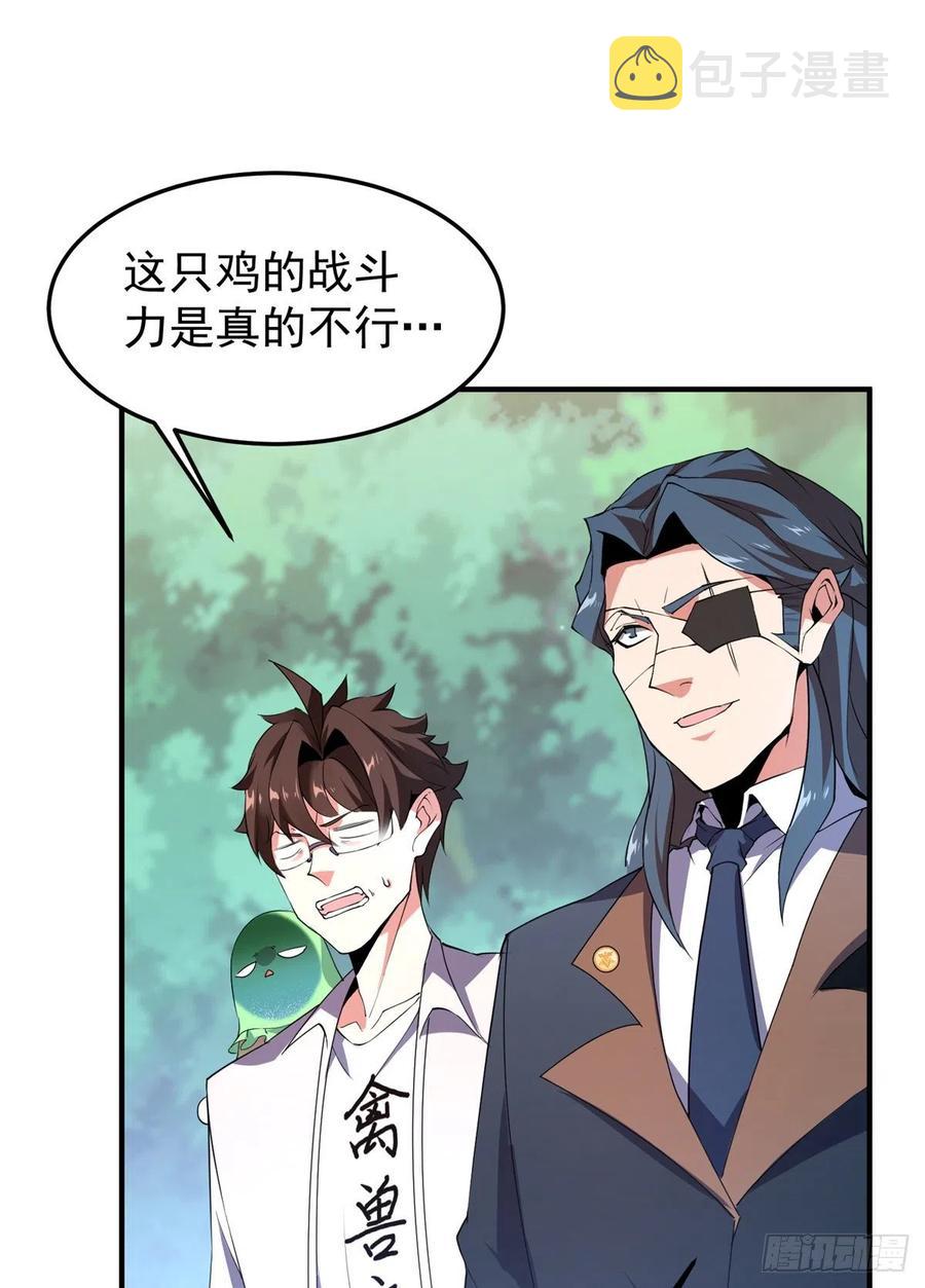 73 幻影龙蜥31