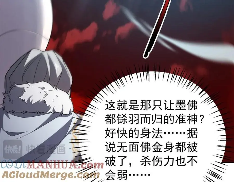258 胖大海突破80
