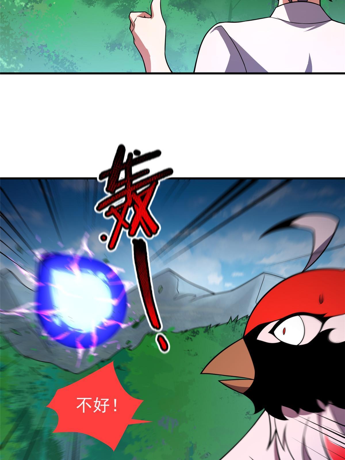 112 木孔雀28