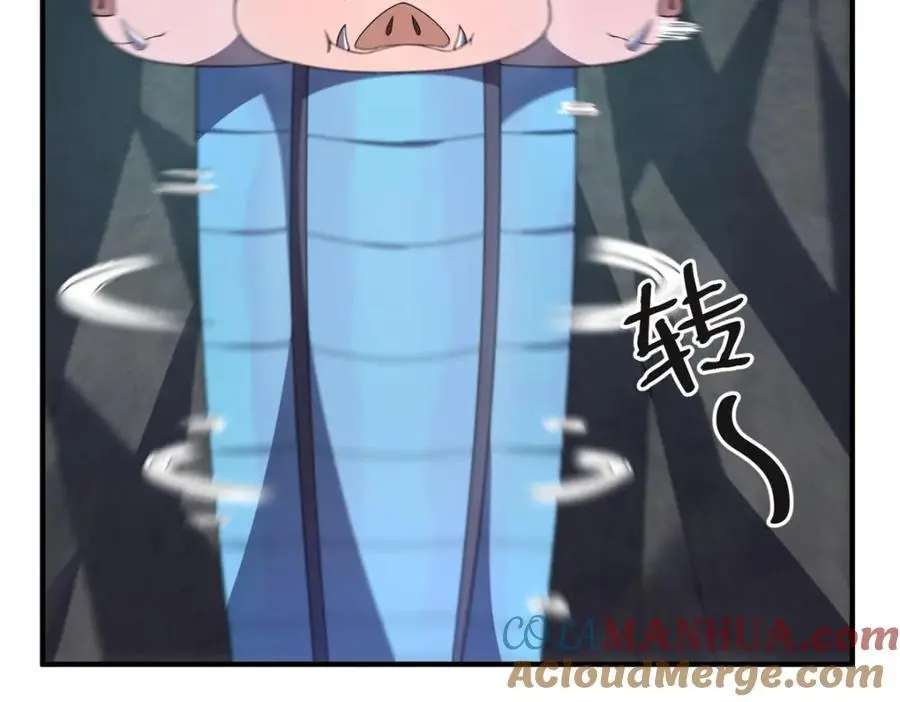 268 本元猪60