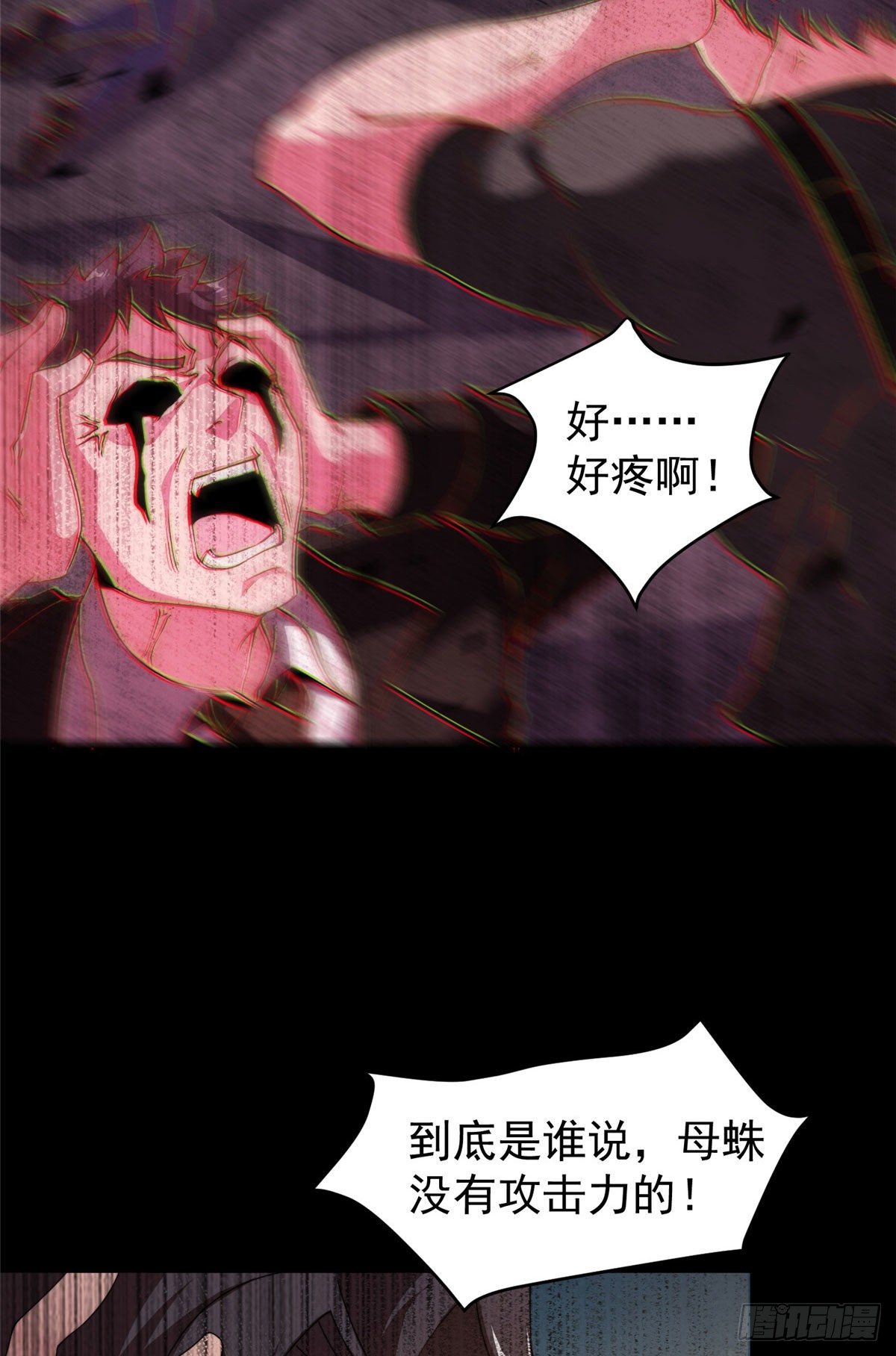 019 母蛛49