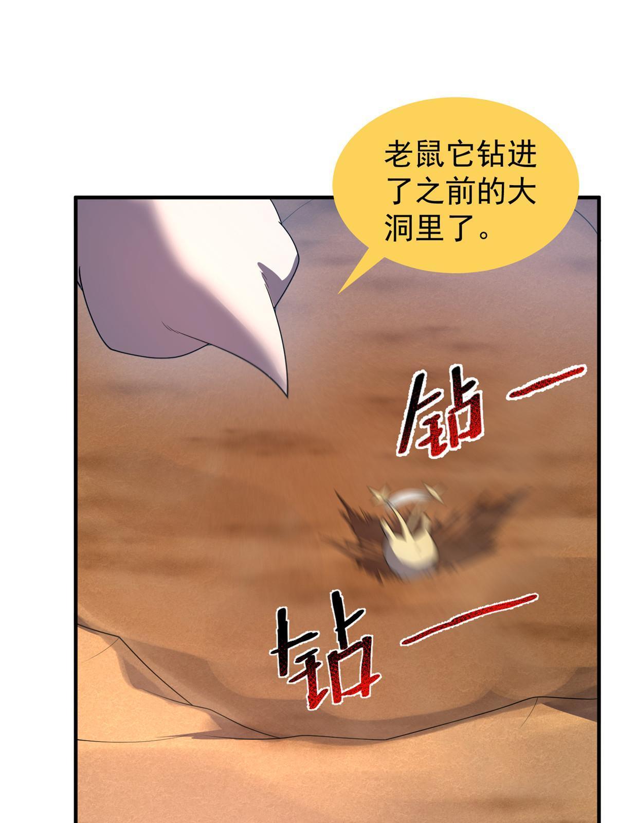 156 新的材料19