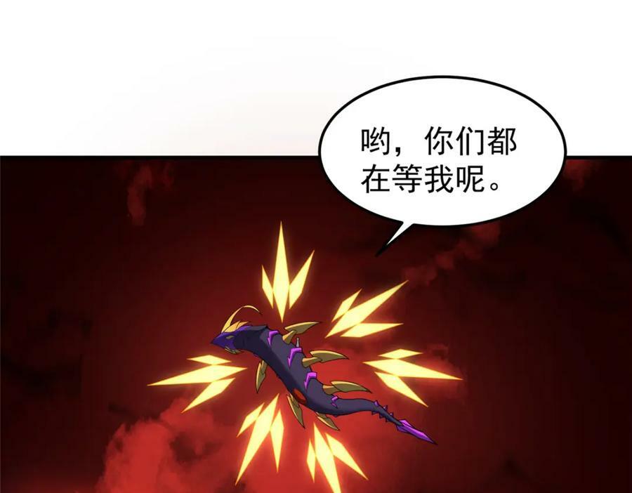 203 胖大海的宝贝79