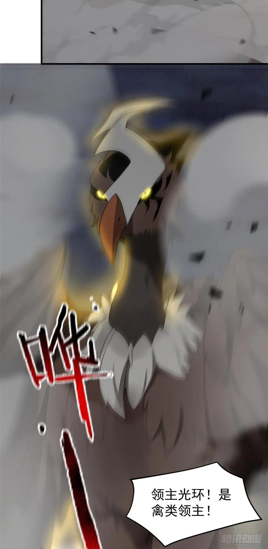 74 血眼胡秃鹫49