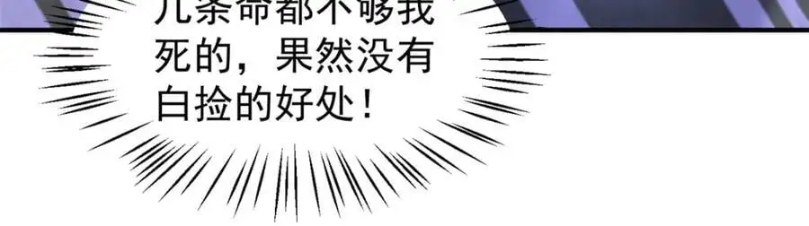 268 本元猪114