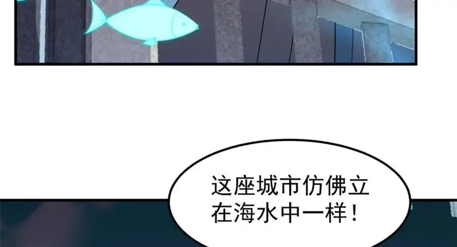 258 胖大海突破90