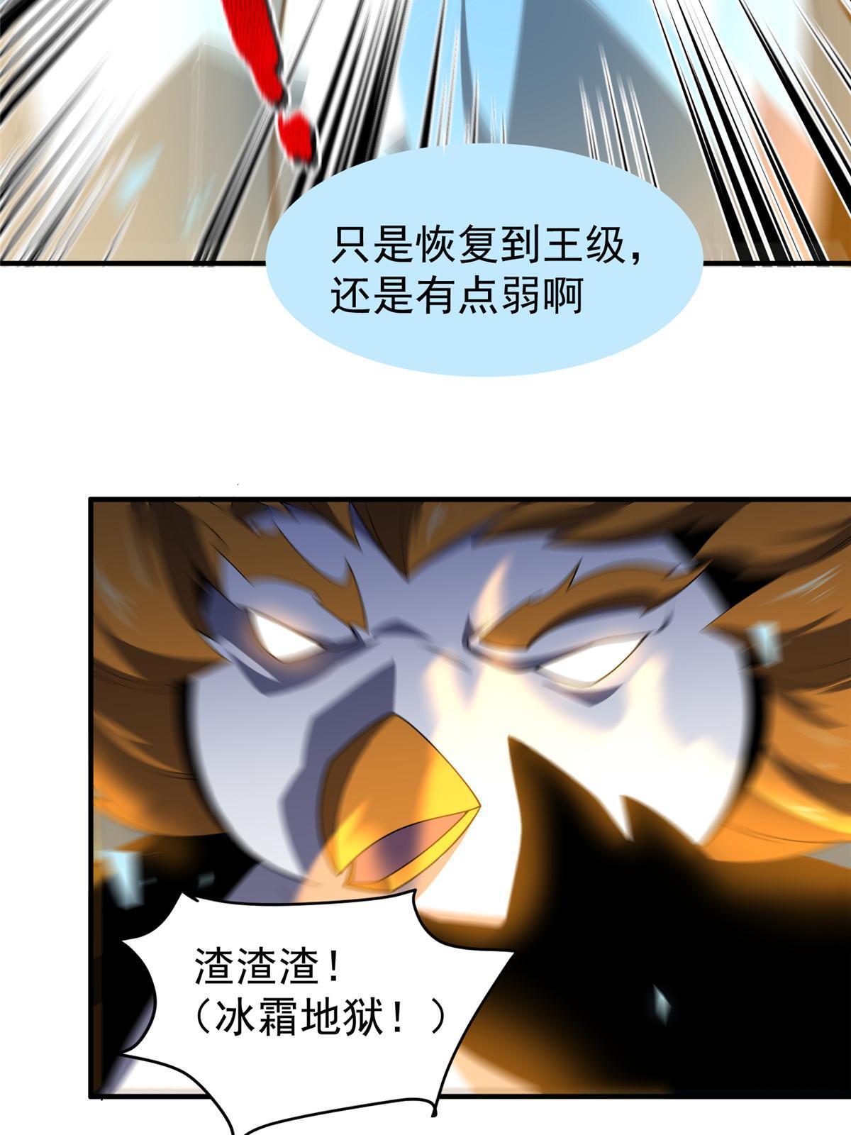 152 怪力黄眉企鹅47