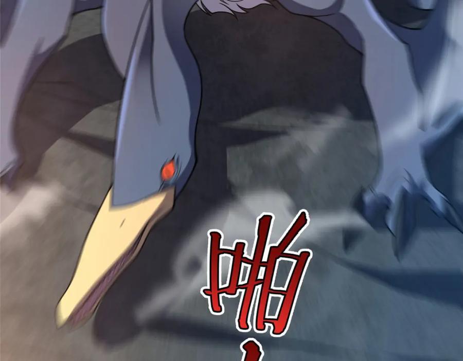 223 前往外龙群岛141