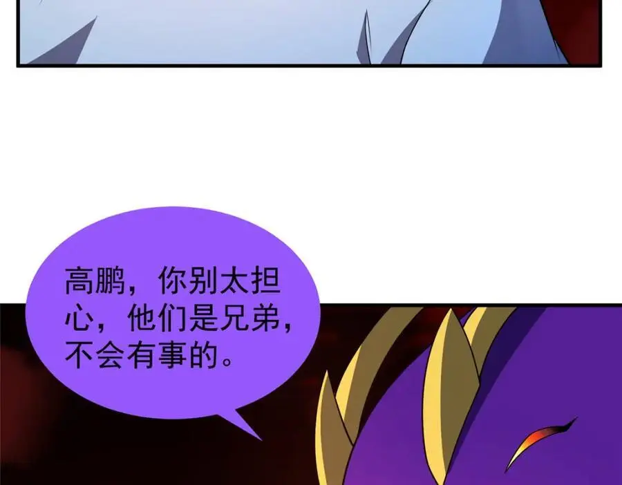 256 龙蚁5