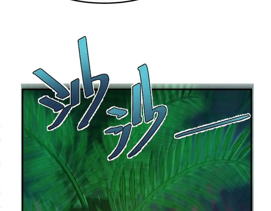 243 新的通道开启114