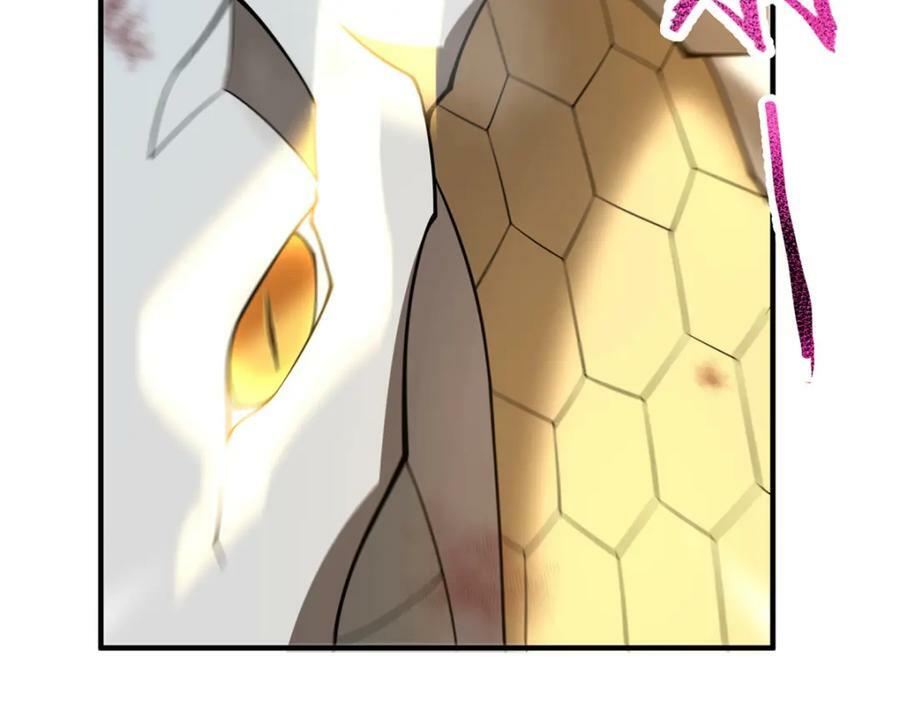 196 单方面碾压101
