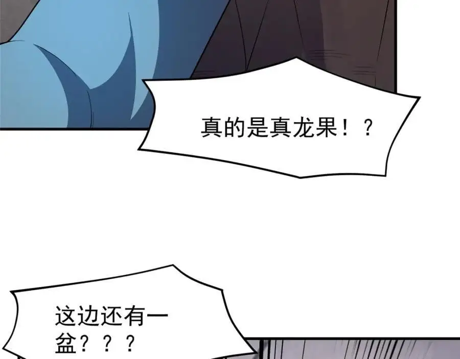 252 招财的快乐老家81