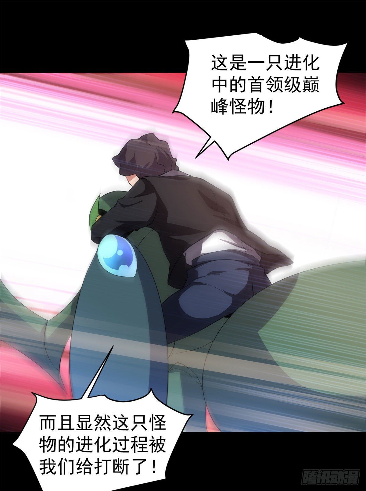 019 母蛛52