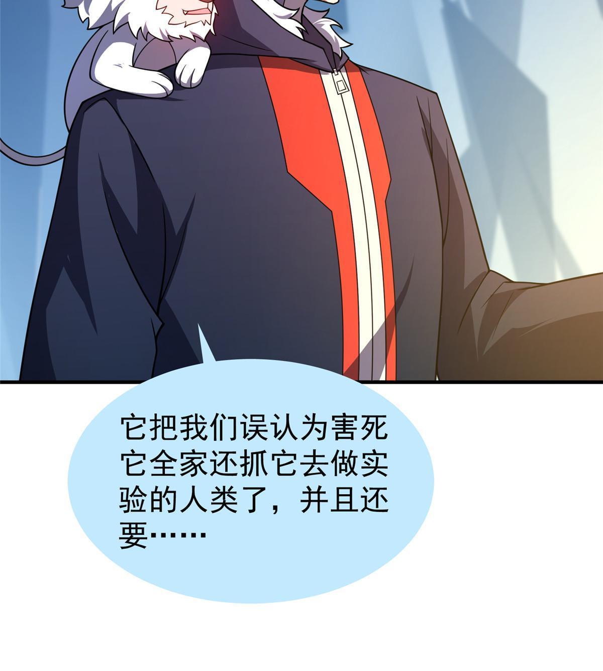 152 怪力黄眉企鹅35