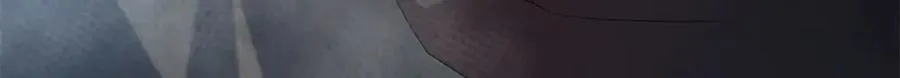 290 新的王43
