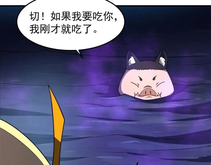 268 本元猪5