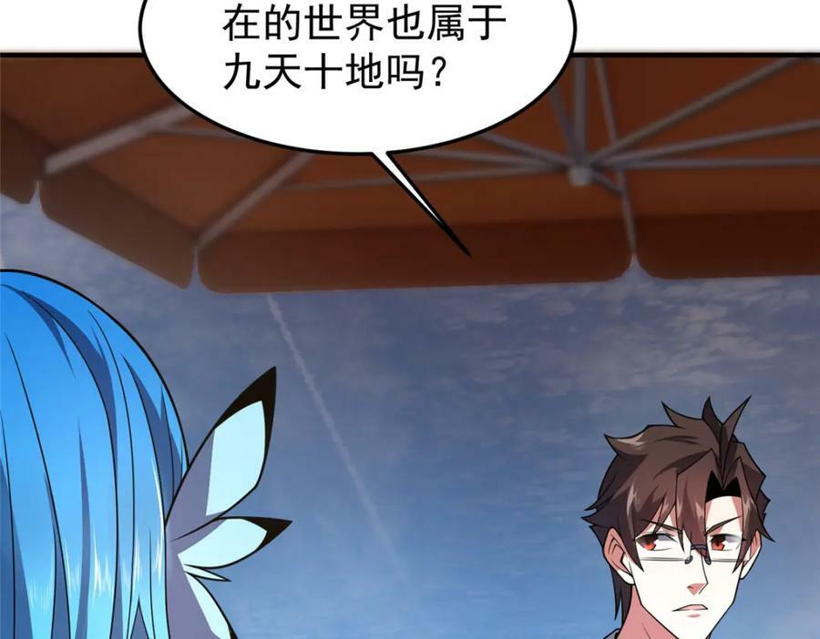 203 胖大海的宝贝34