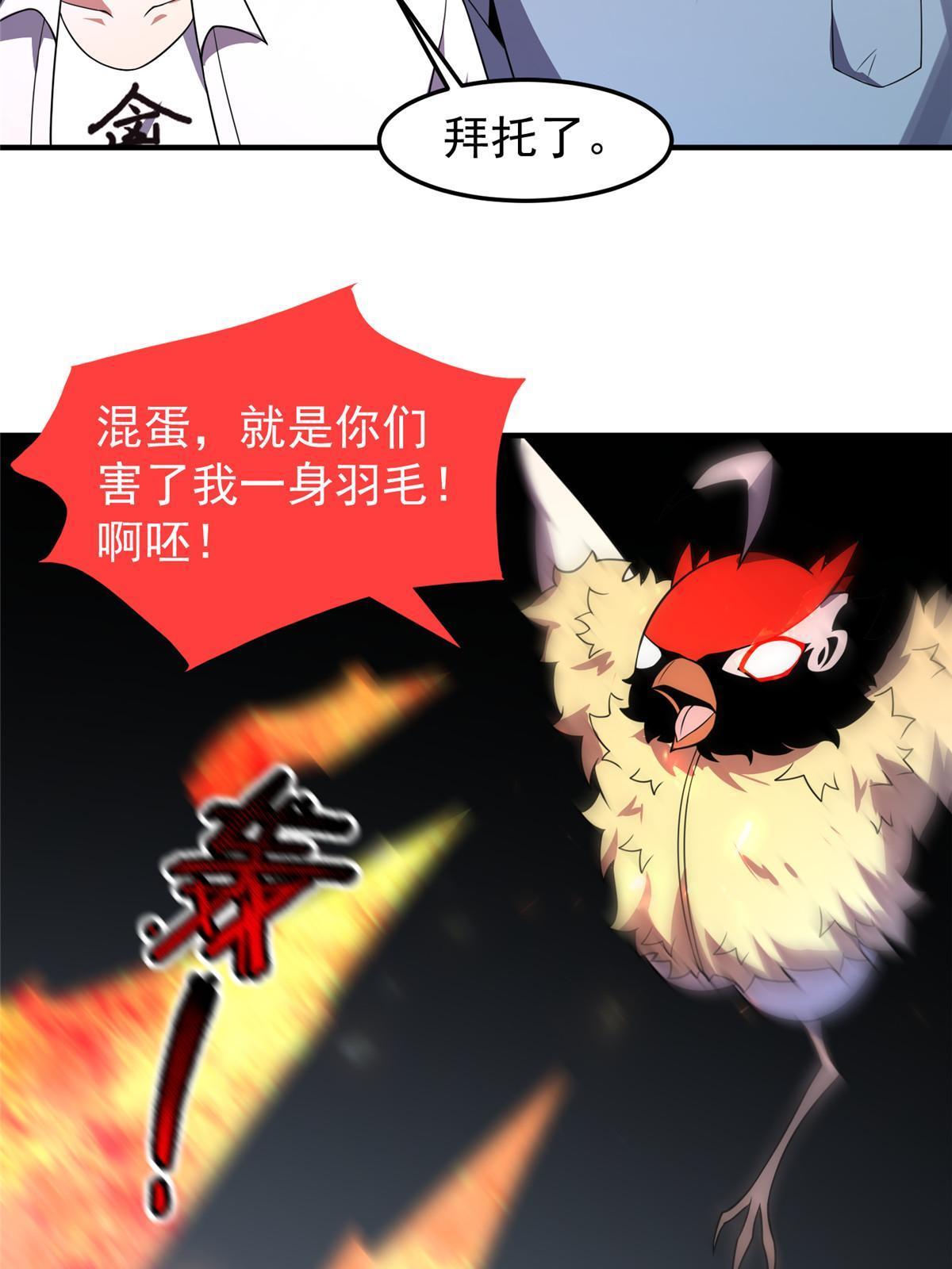 112 木孔雀59