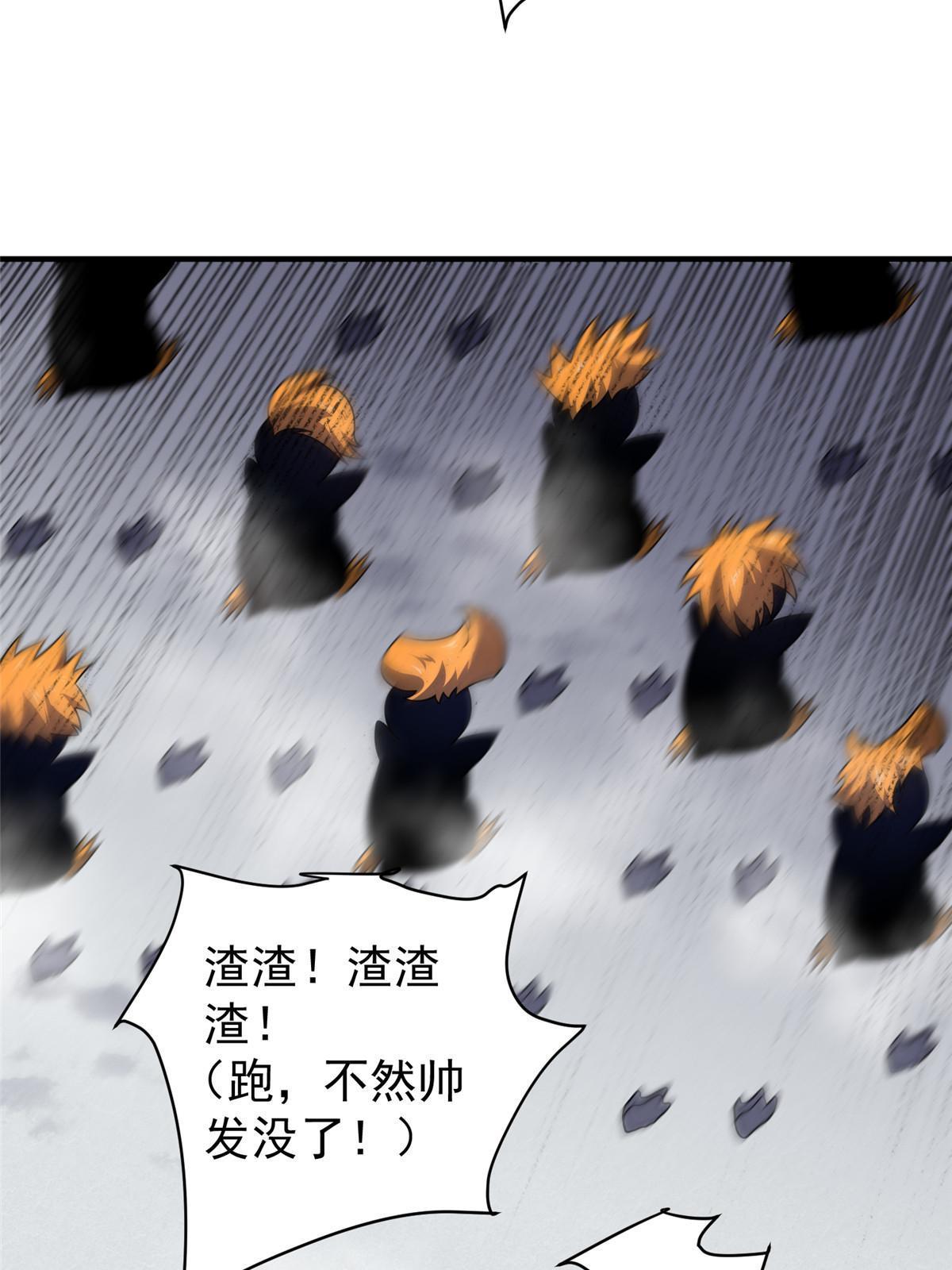 152 怪力黄眉企鹅19