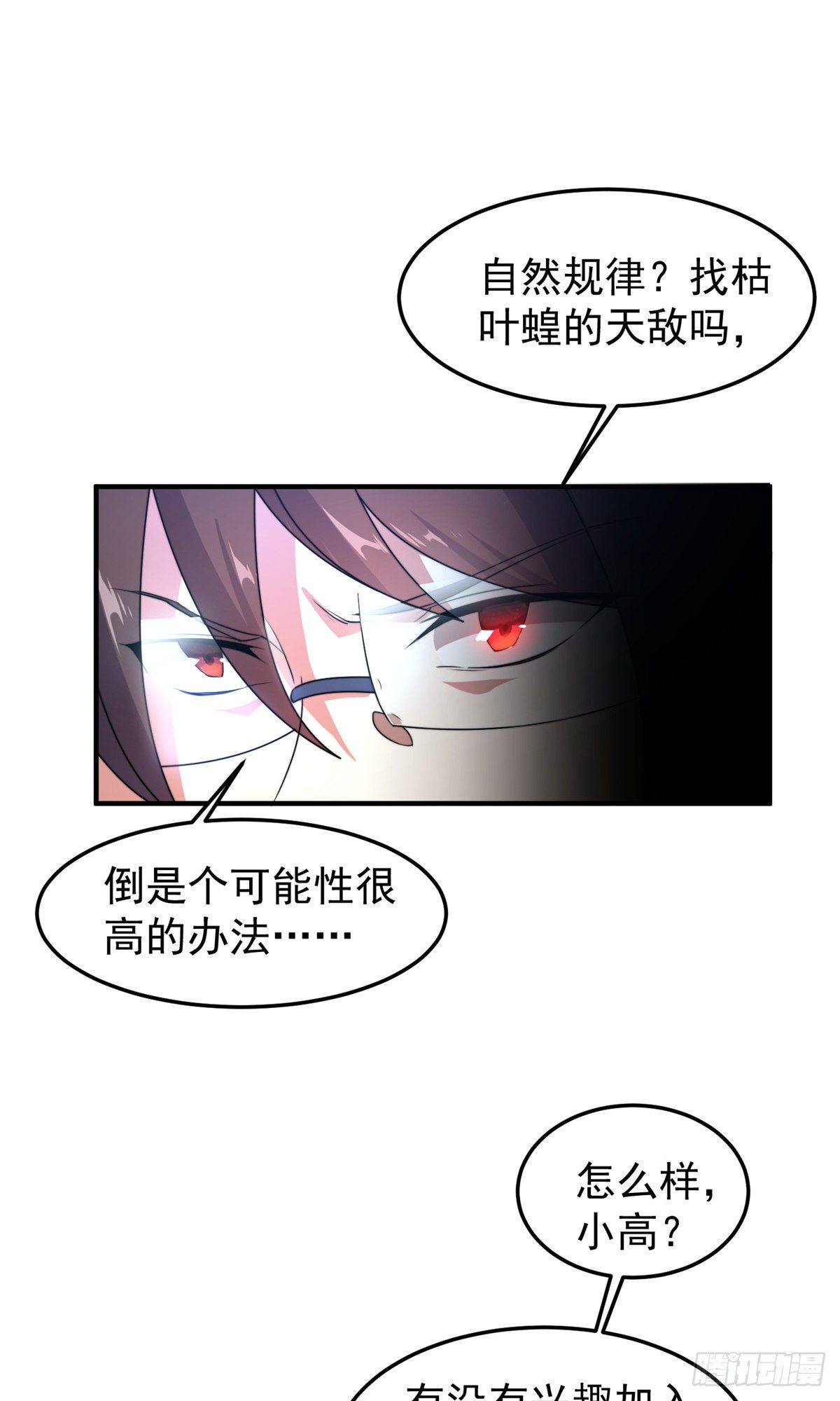 037 空腹金蟾18