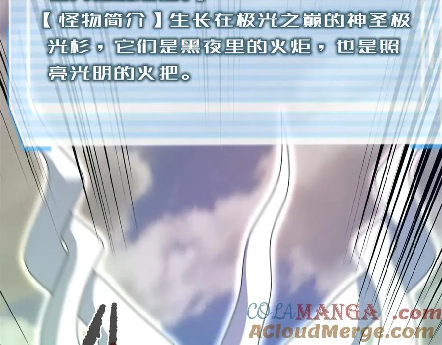 296 光明山还是光明螺12