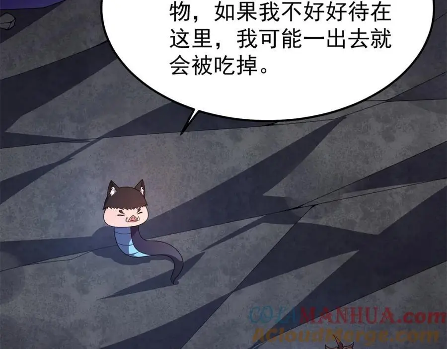 268 本元猪88
