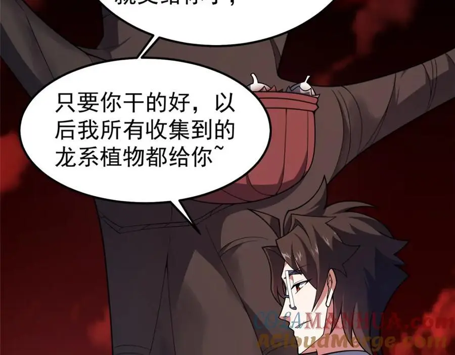 255 融合20
