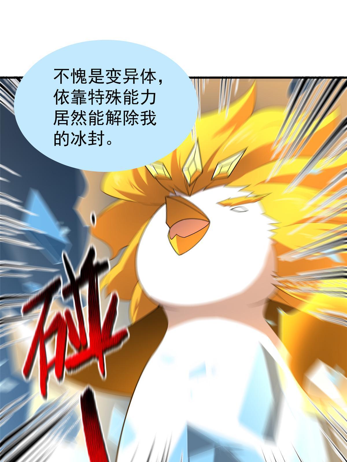 152 怪力黄眉企鹅46