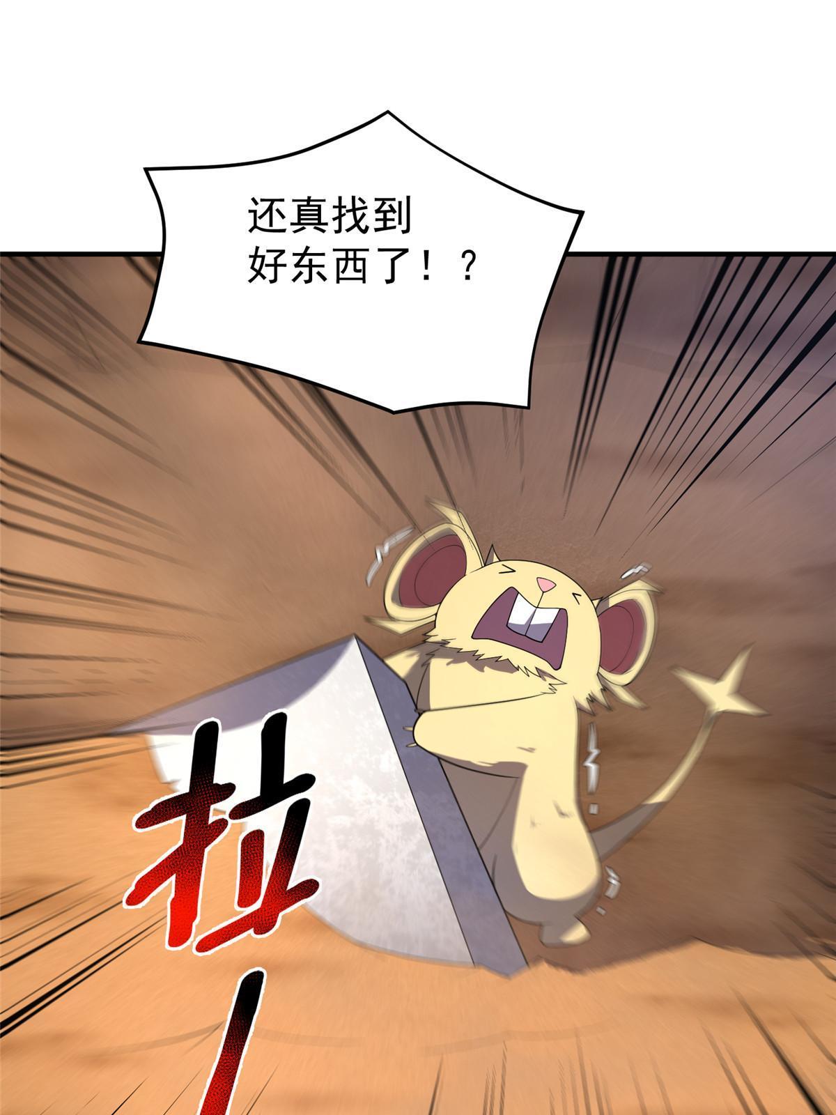 156 新的材料21