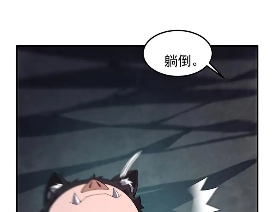 268 本元猪62