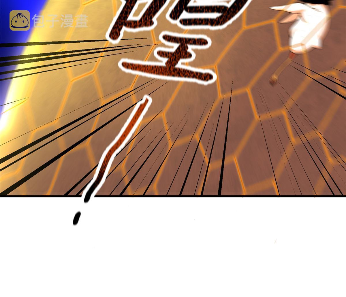112 木孔雀37