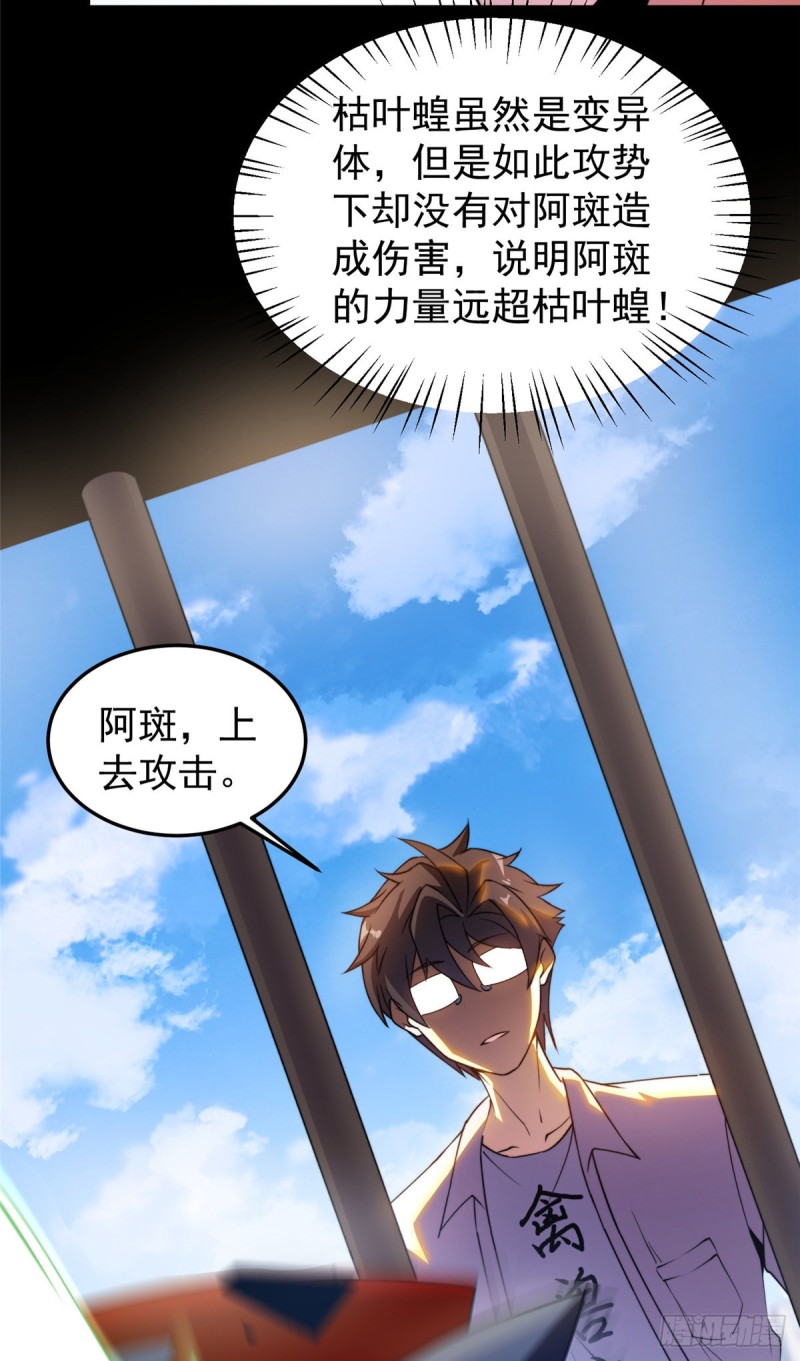 053 怂吱吱50