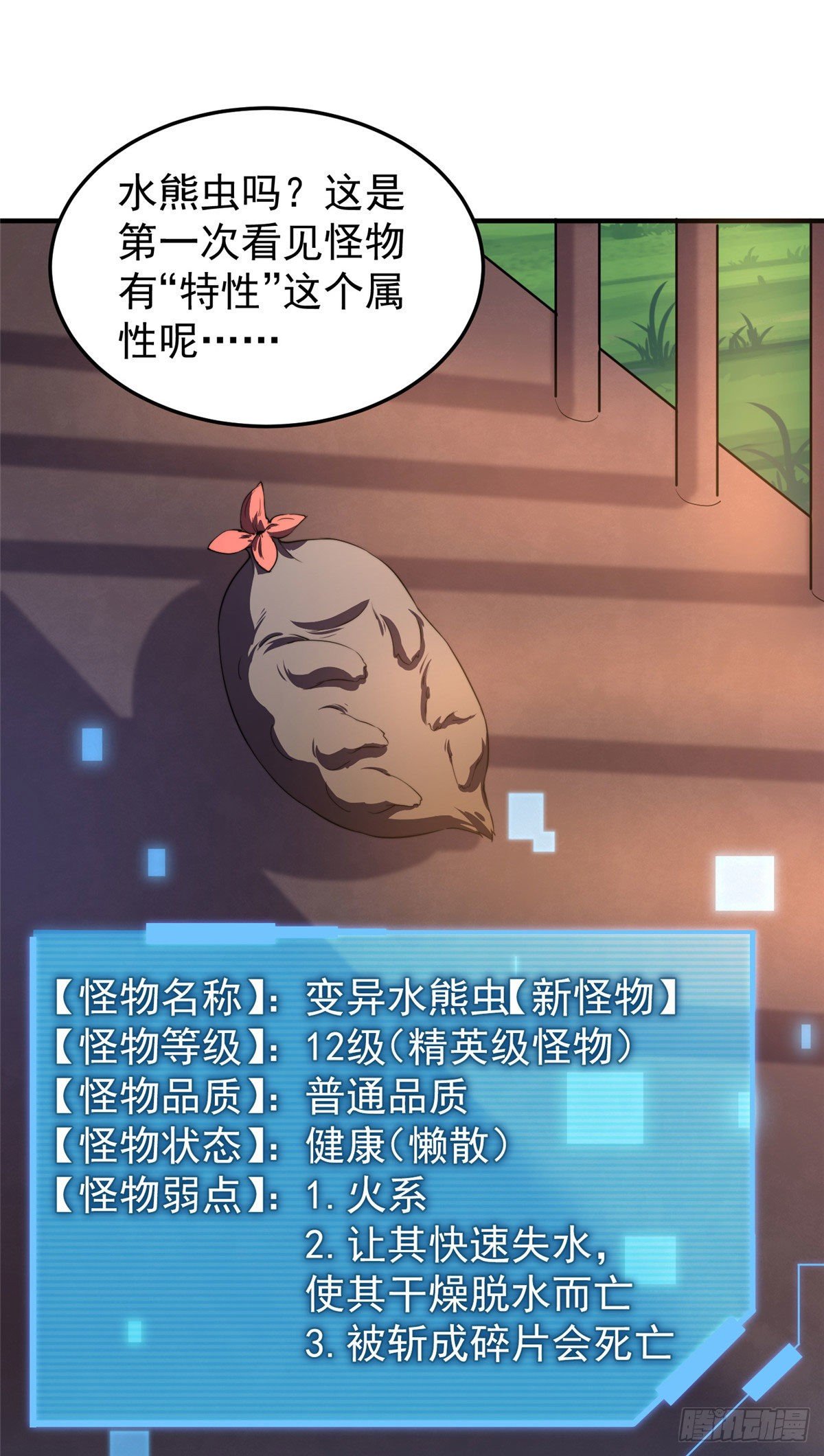 023 薄荷猫23
