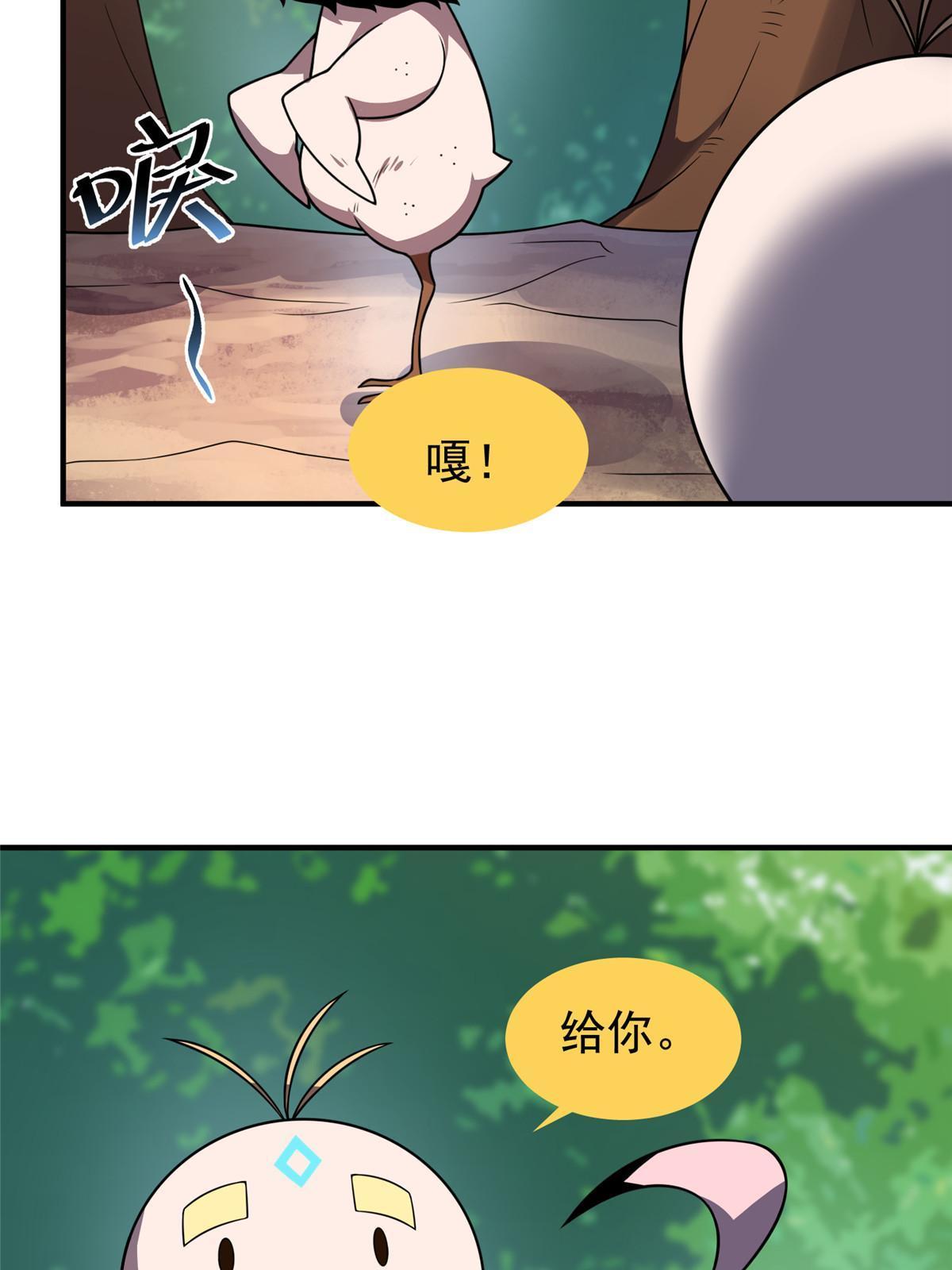 112 木孔雀40