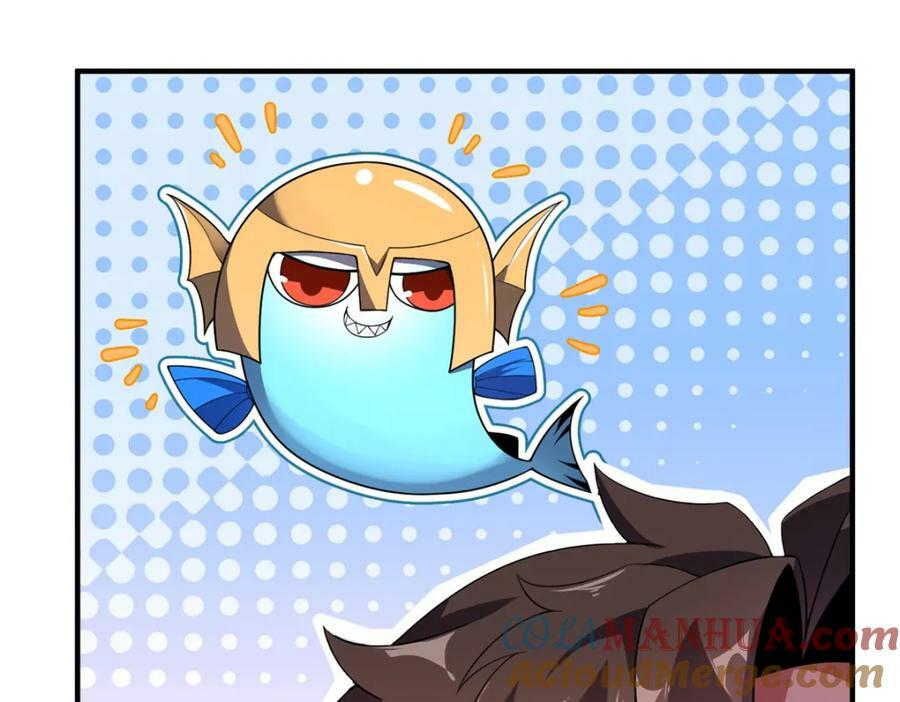 203 胖大海的宝贝100