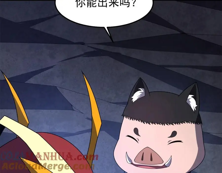 268 本元猪20
