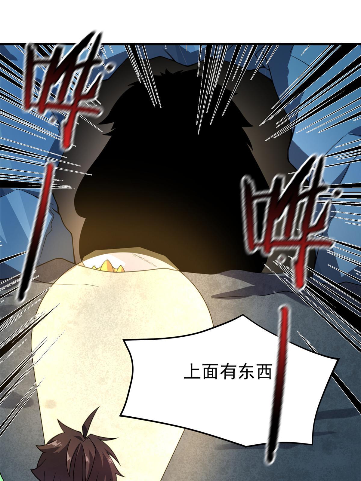 152 怪力黄眉企鹅31