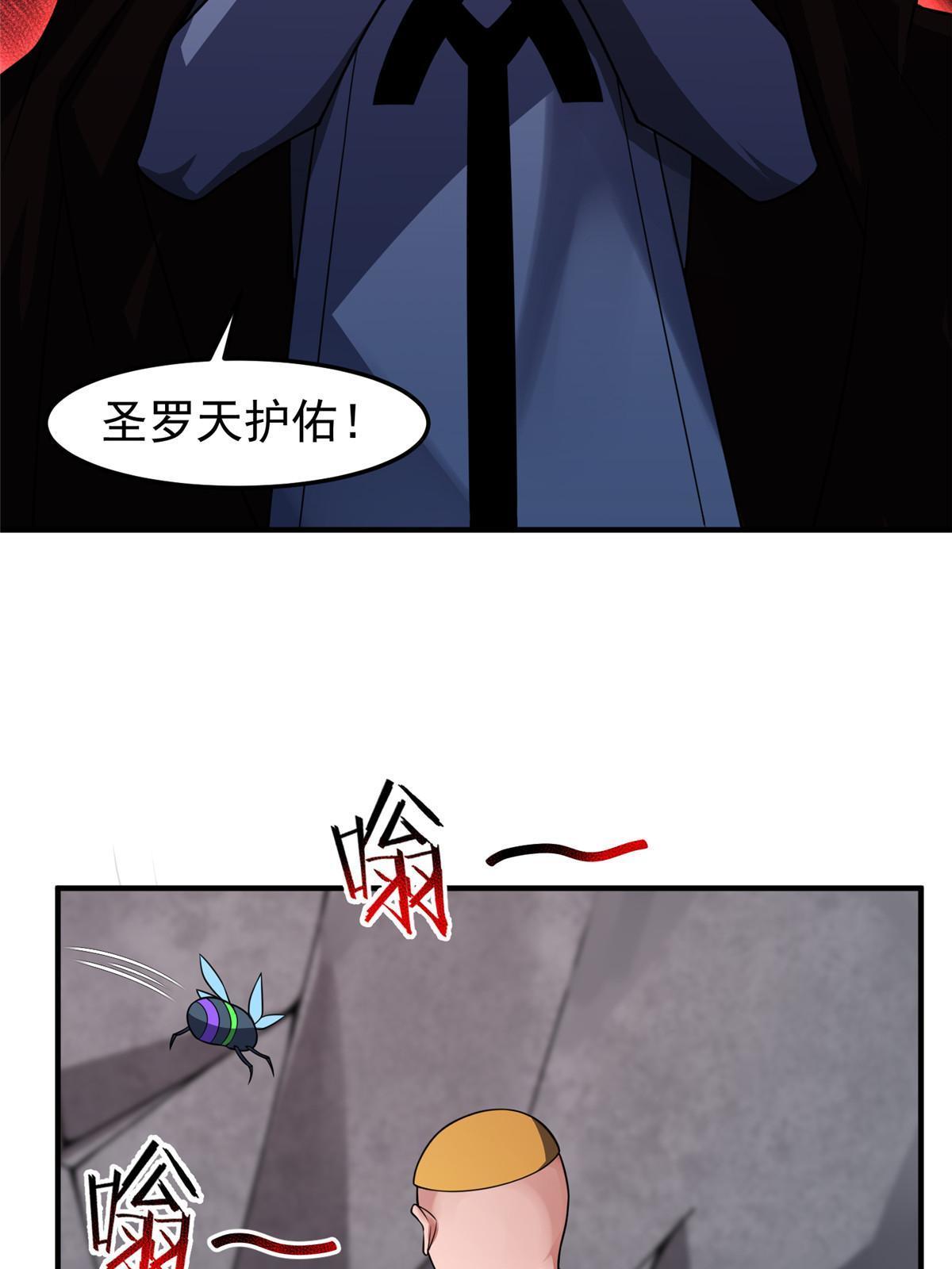 112 木孔雀18