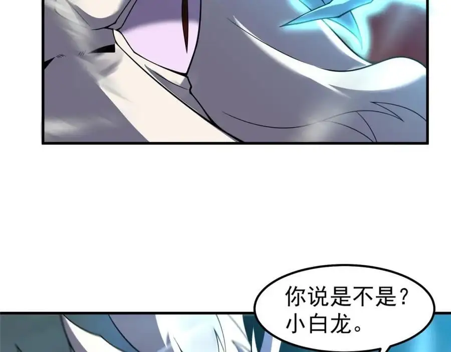 258 胖大海突破77