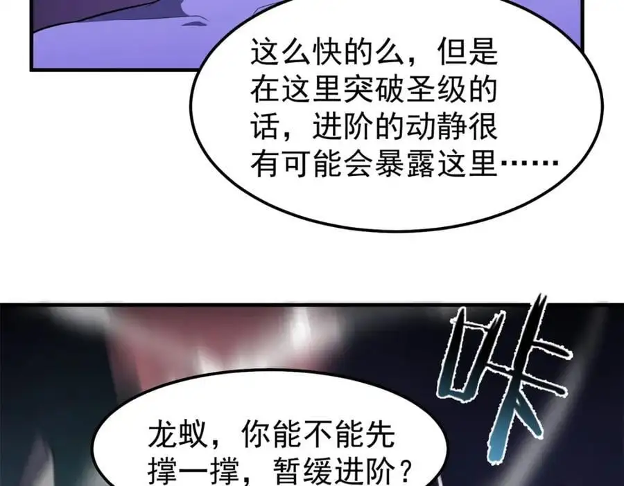 268 本元猪103