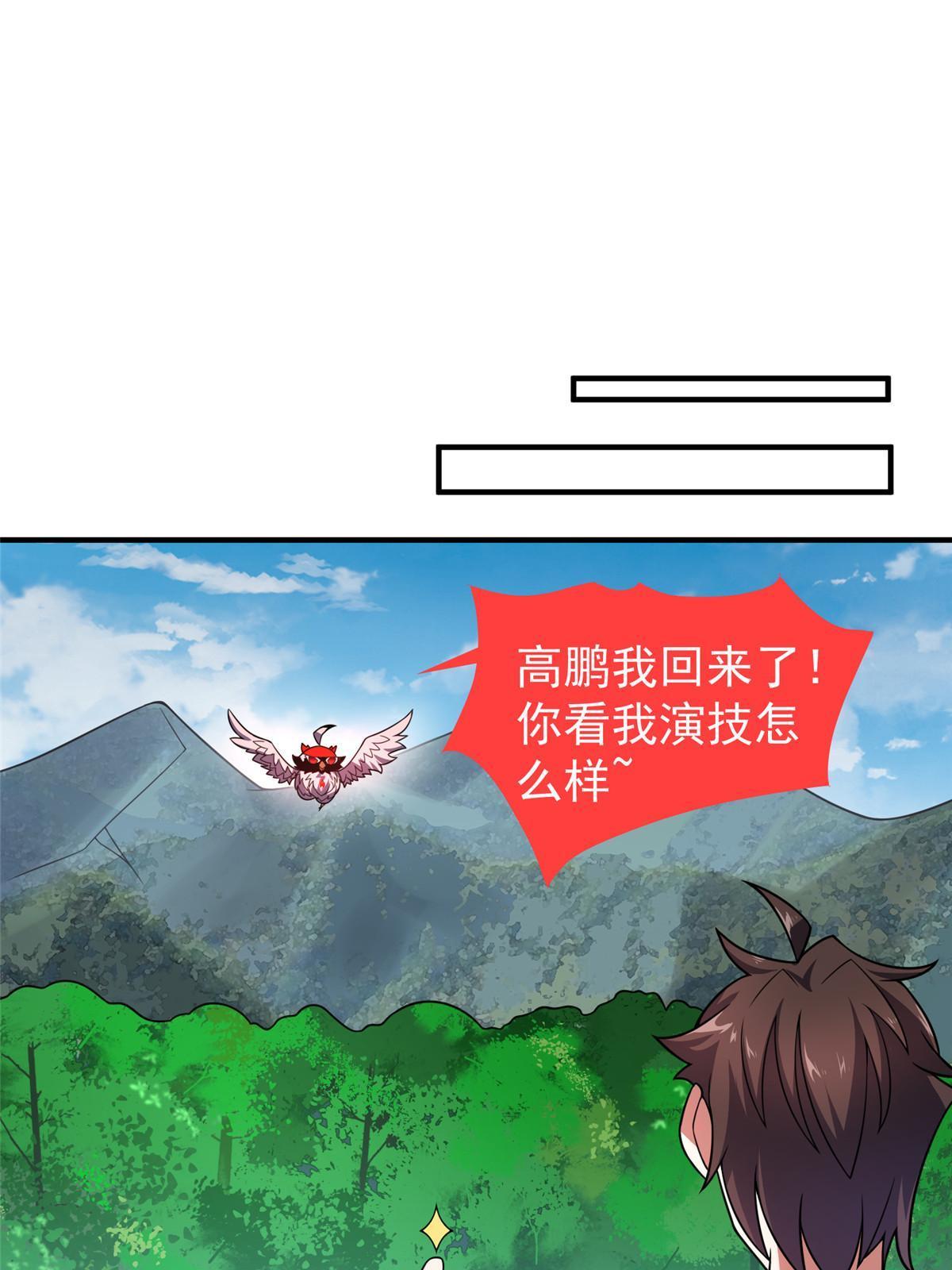112 木孔雀27